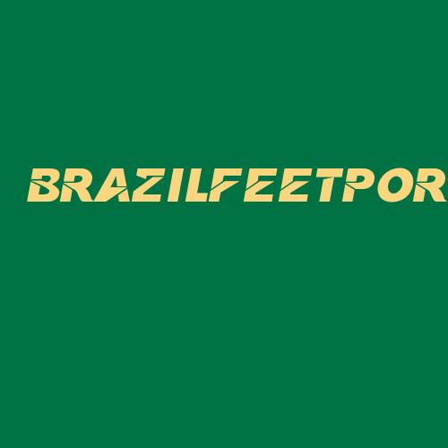 Logo da BRAZILFEETPOR